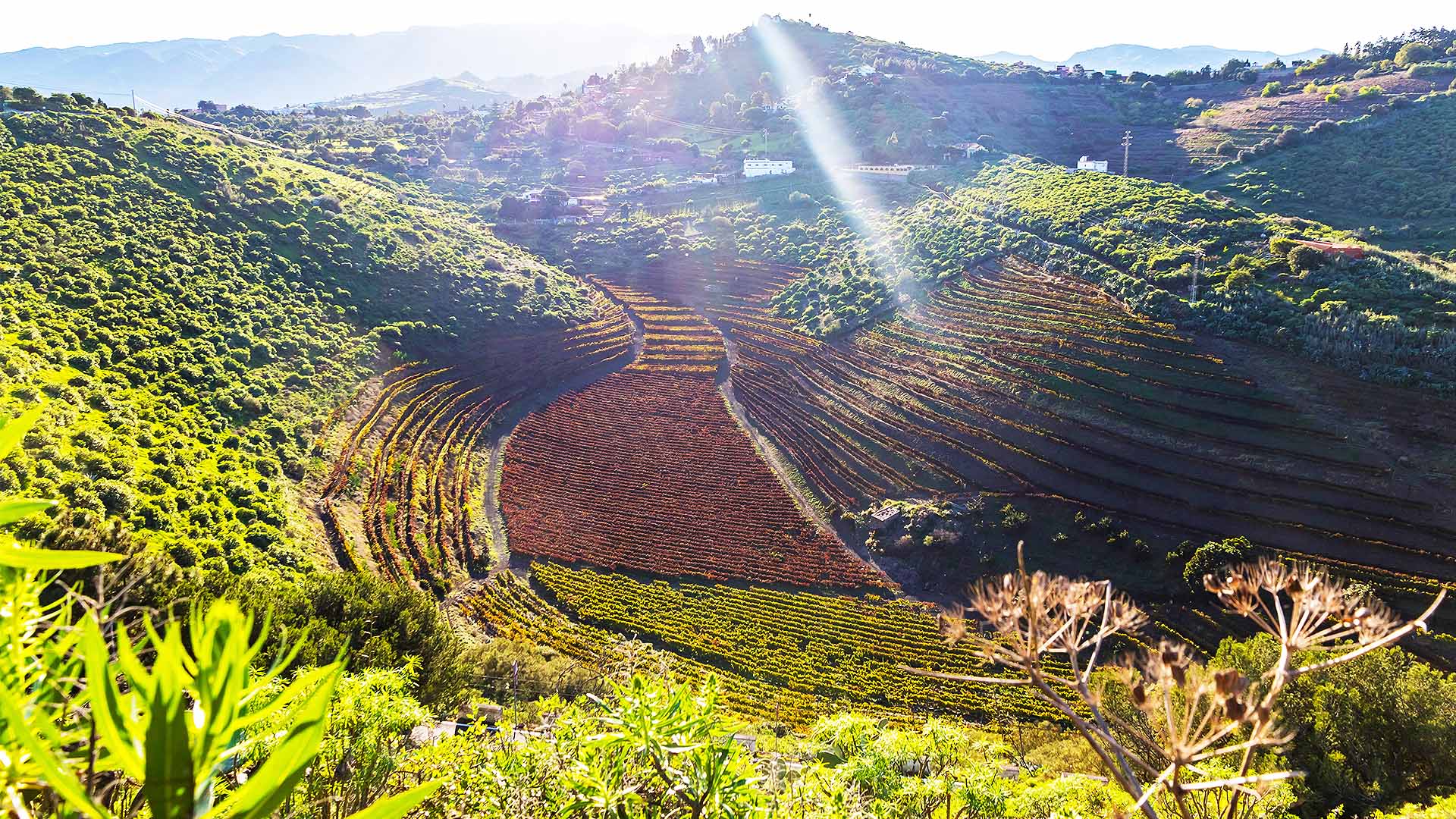 FBO & Ground Handling La Calderera Airport (LELA) La Calderera