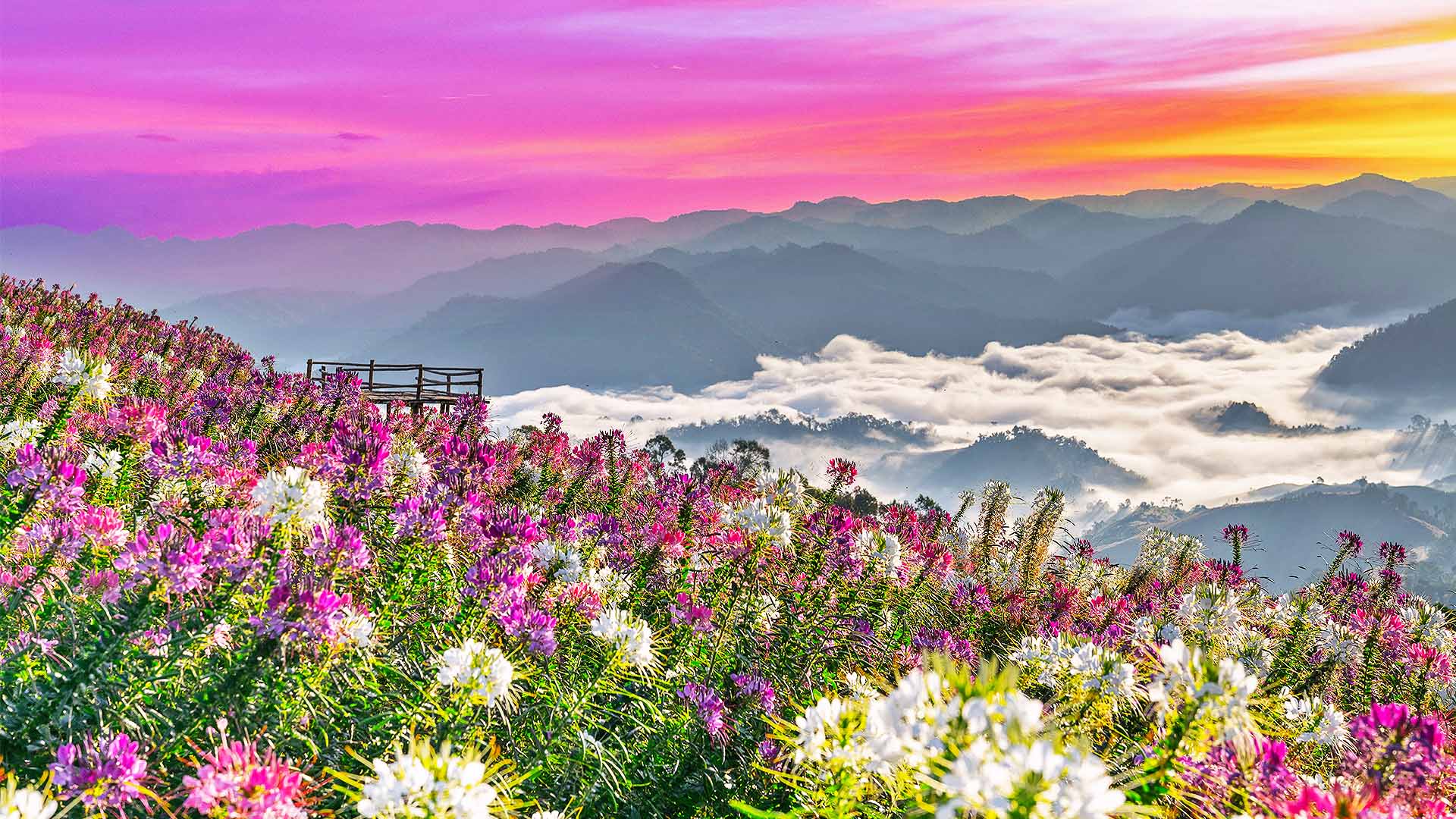 FBO & Ground Handling Tak Airport (VTPT) Tak, Thailand Universal