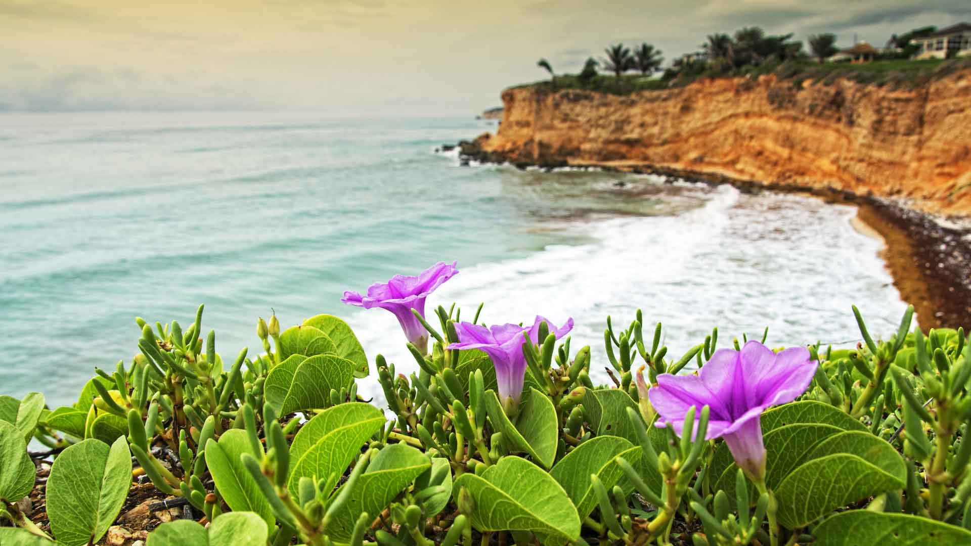 Maria Montez International Airport | Barahona, Dominican Republic